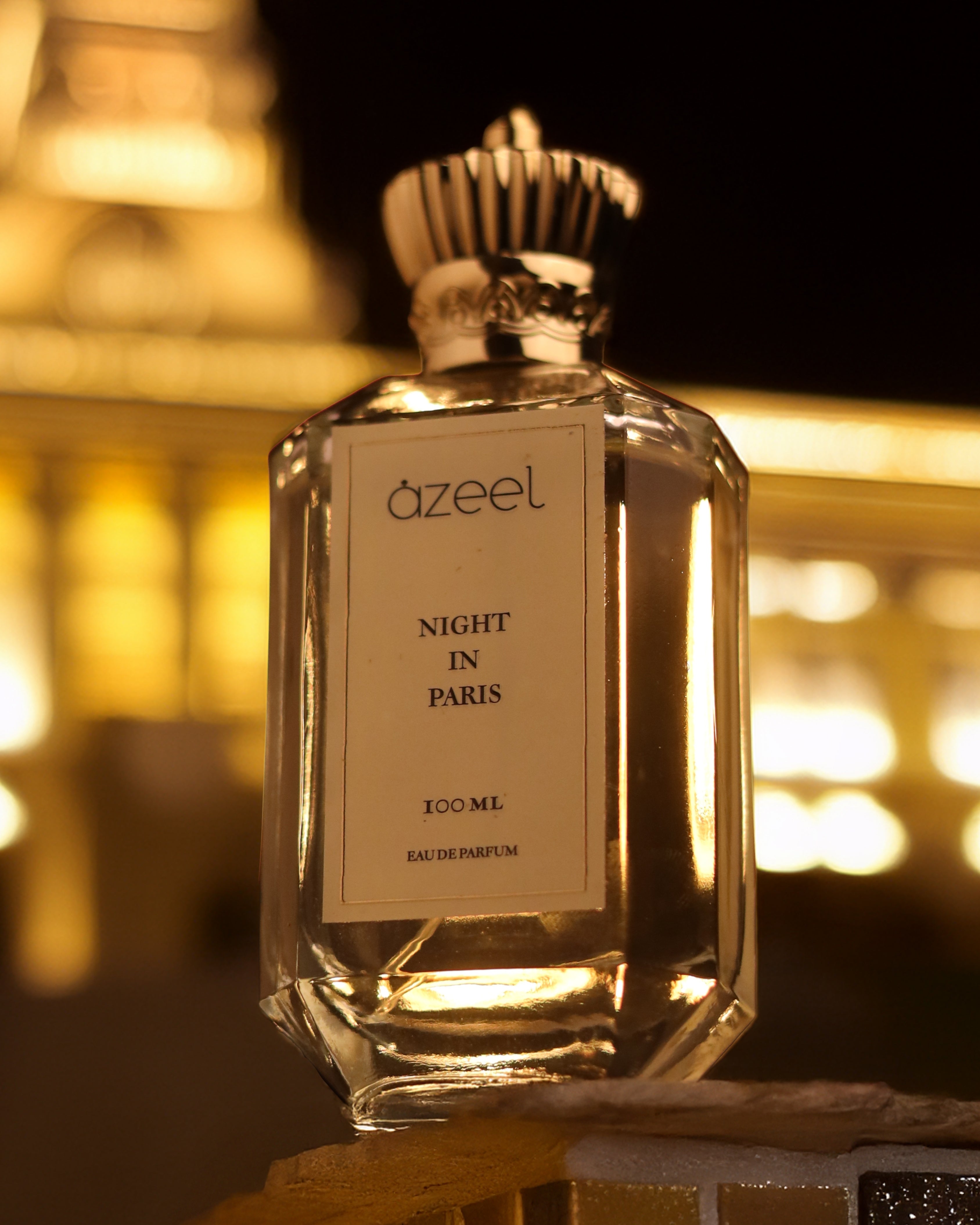 NIGHT IN PARIS