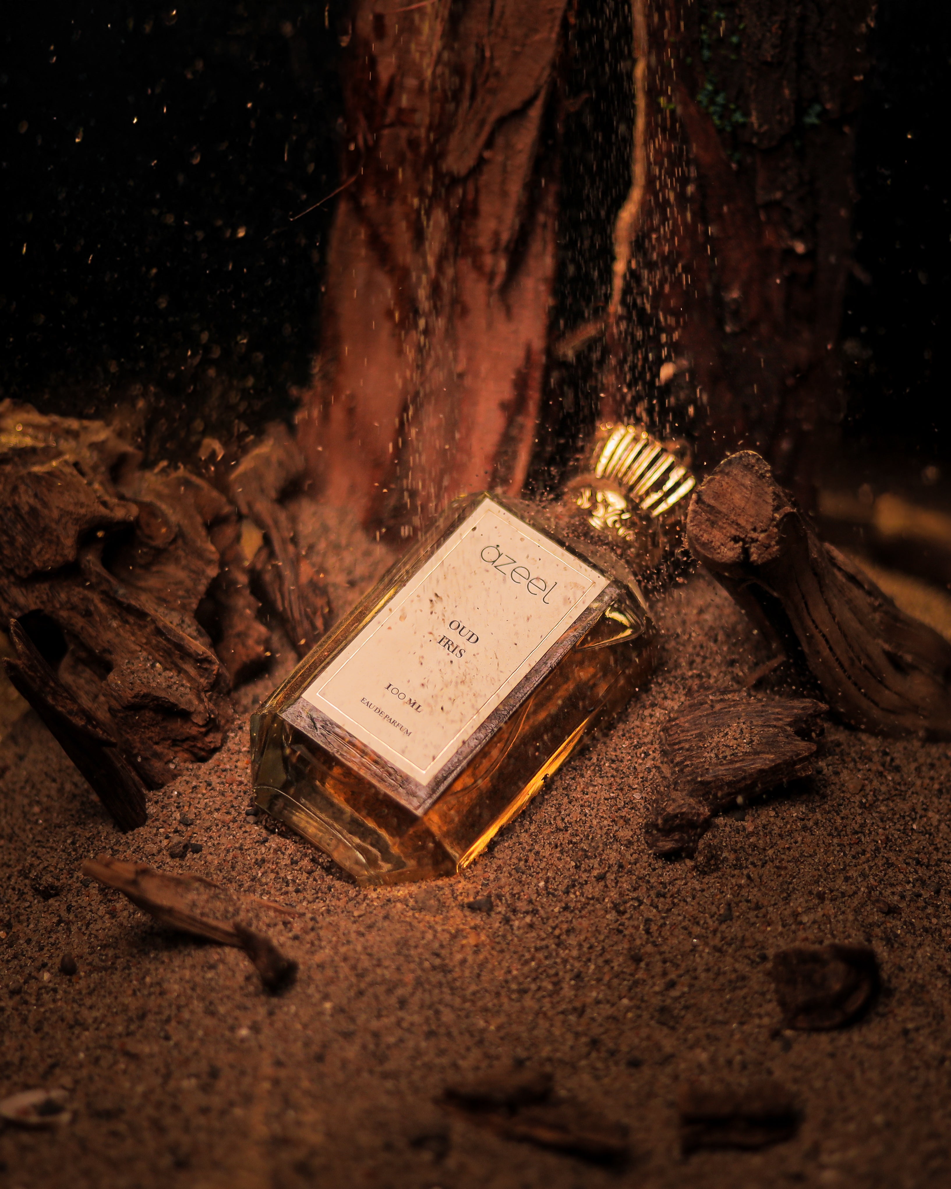 OUD IRIS