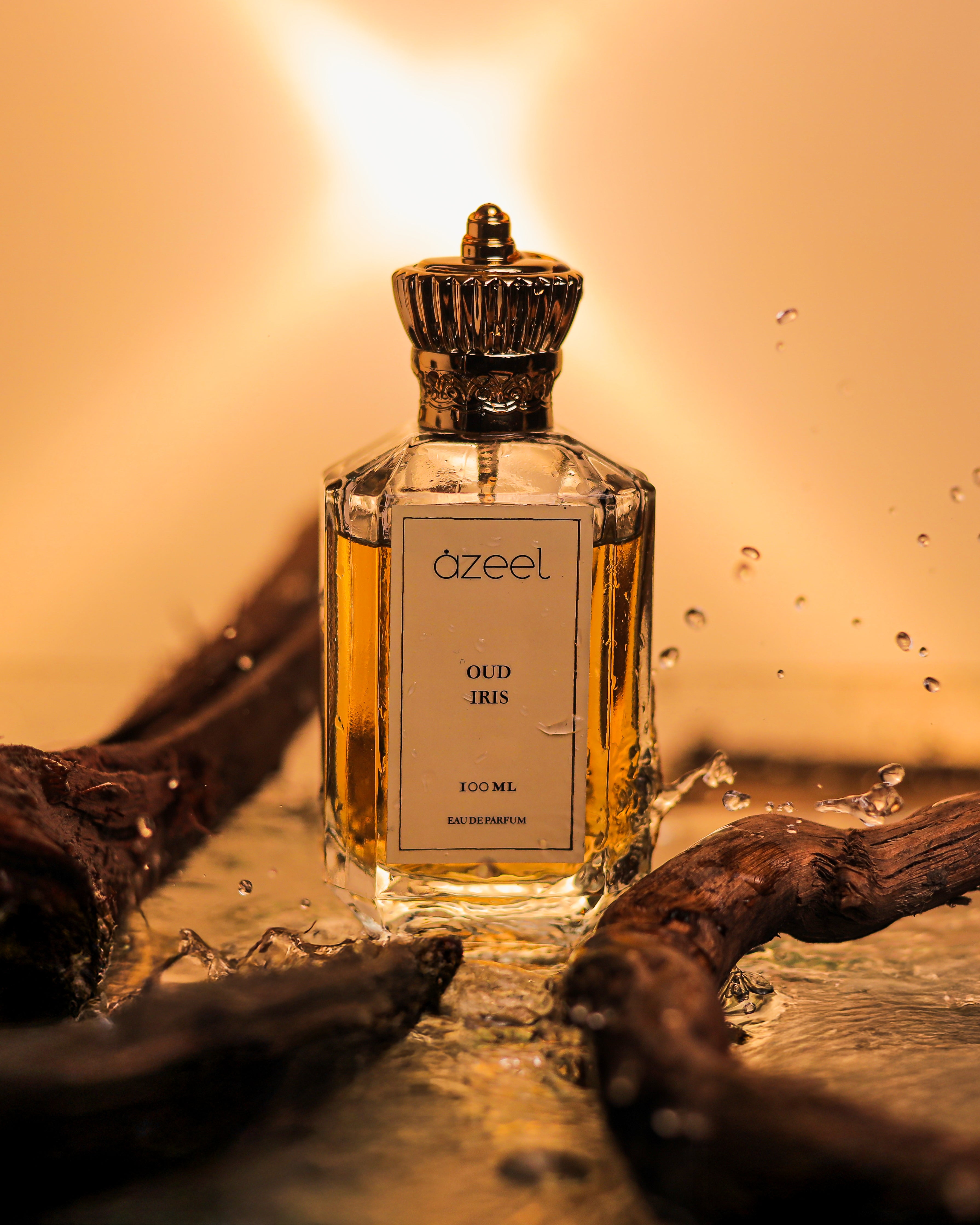 OUD IRIS