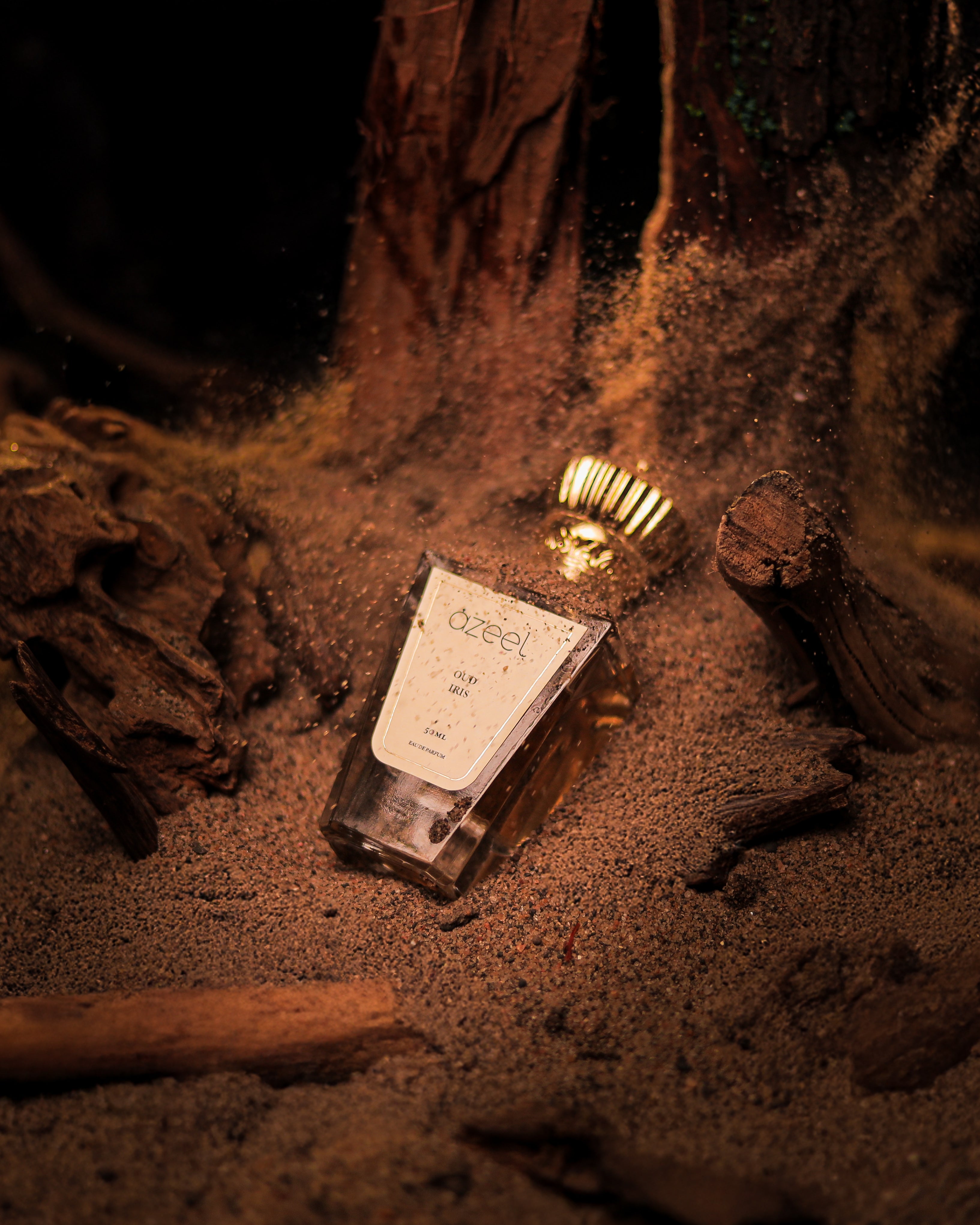 OUD IRIS