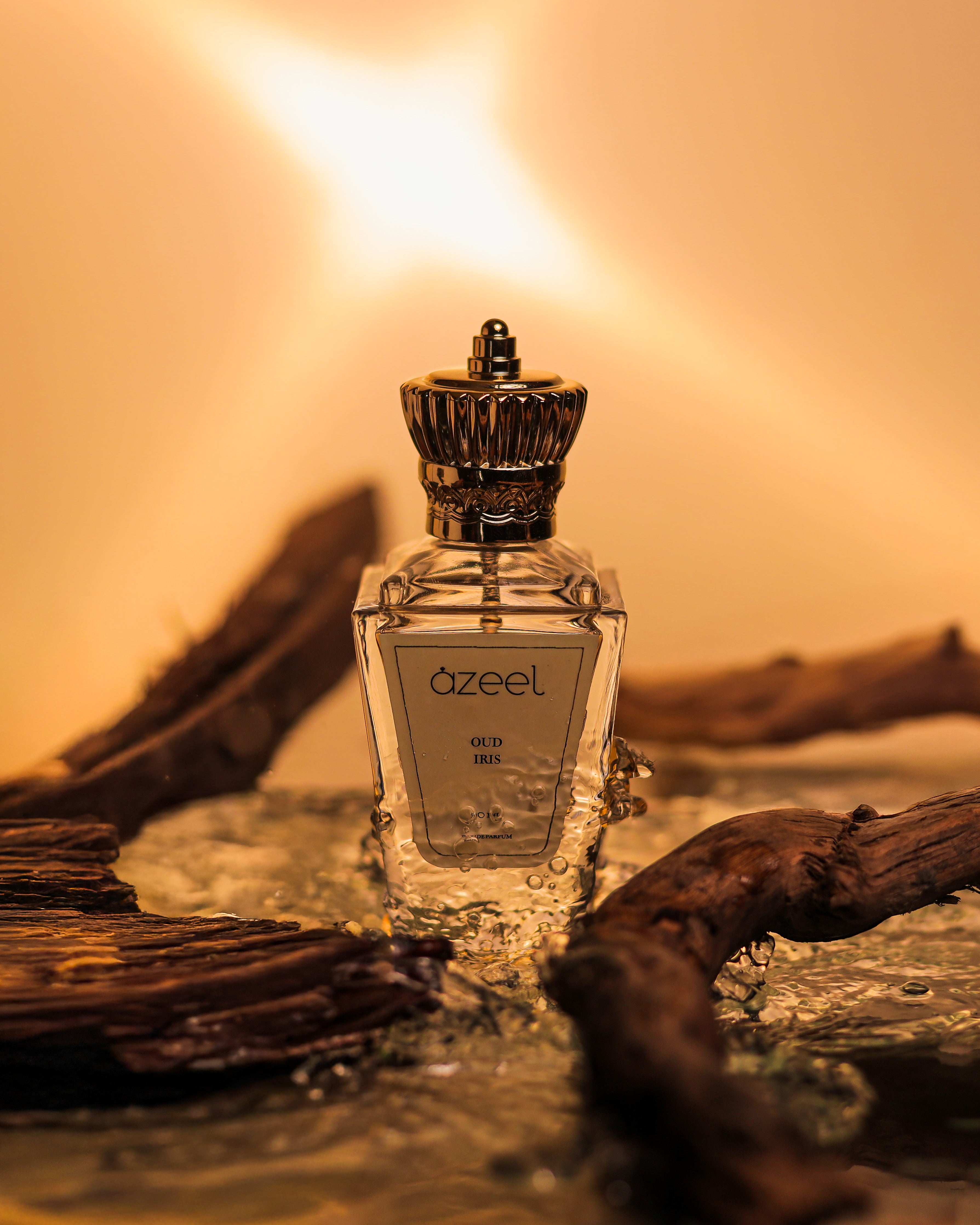 OUD IRIS